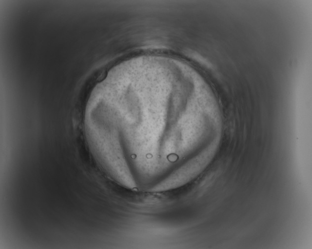 X0000088491255200706191418