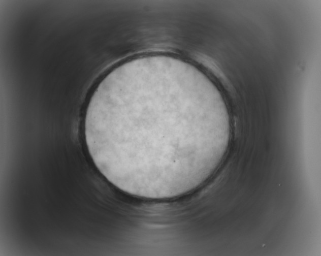 X0000088491260200706191418