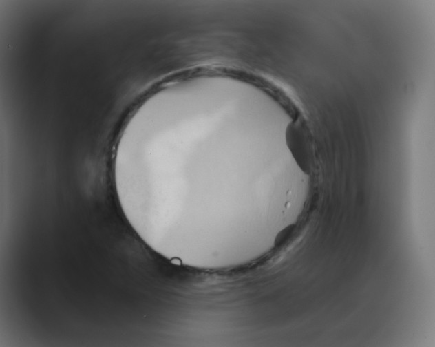 X0000088491263200706191418