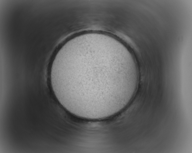 X0000088491264200706191418