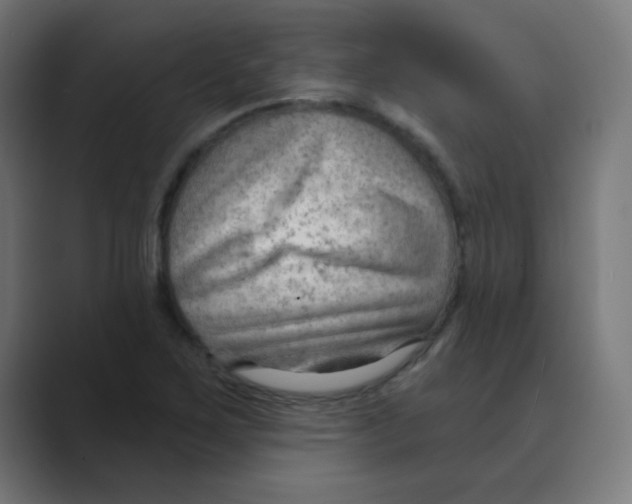 X0000088491267200706191418