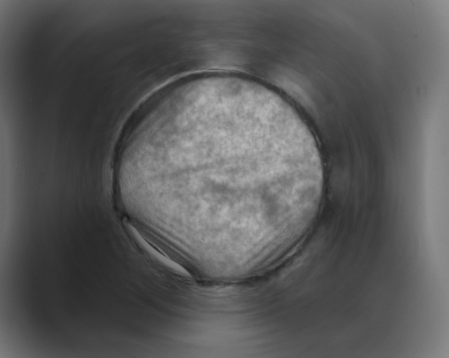 X0000088491268200706191418