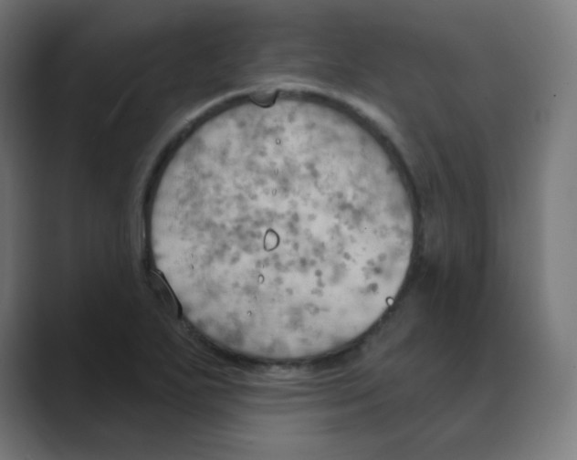 X0000088491271200706191418
