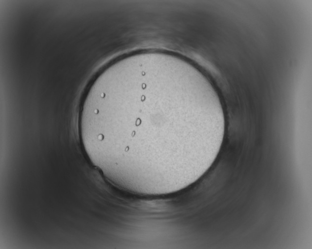 X0000088491272200706191418