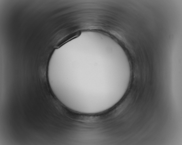 X0000088491273200706191418