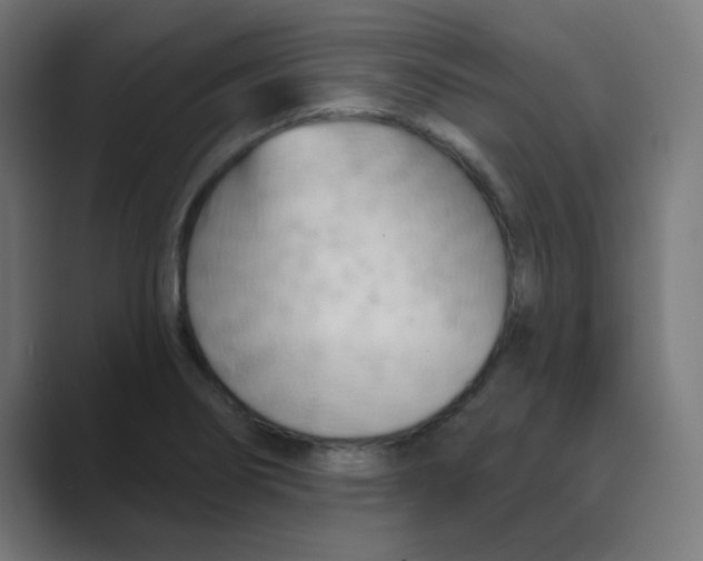 X0000088491274200706191418