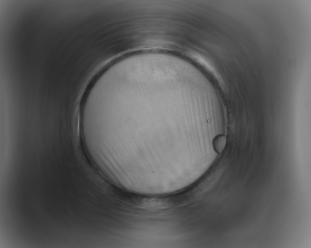X0000088491275200706191418