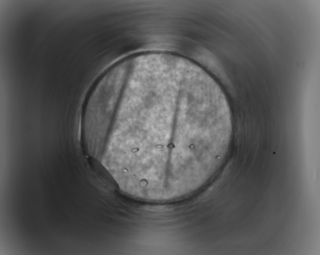 X0000088491276200706191418