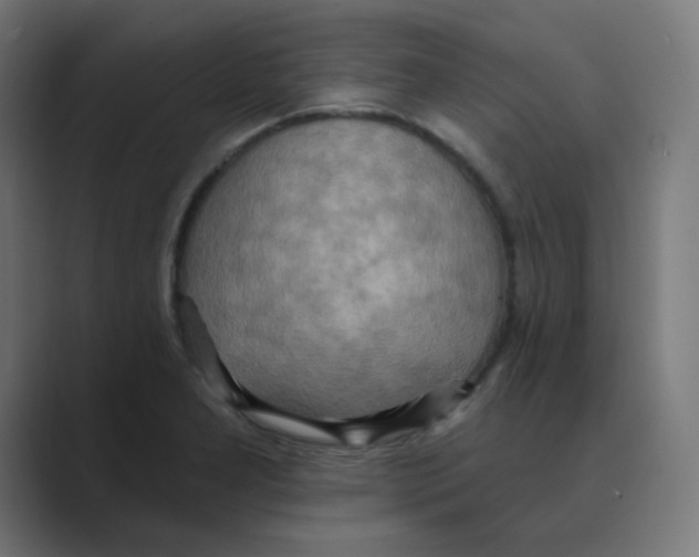 X0000088491277200706191418