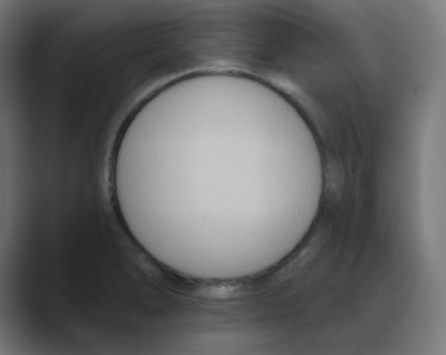 X0000088491278200706191418