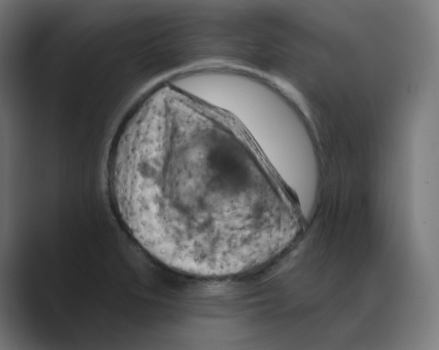 X0000088491279200706191418