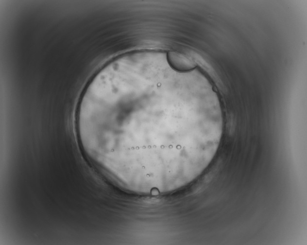 X0000088491283200706191418