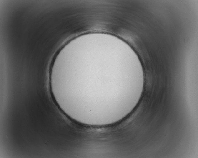 X0000088491286200706191418