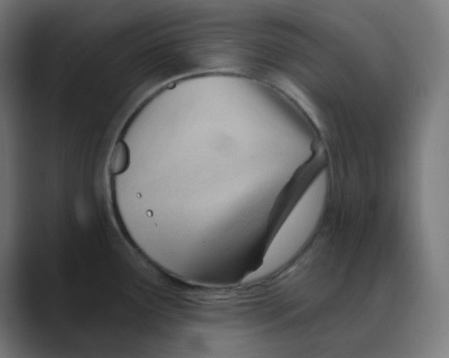 X0000088491291200706191418