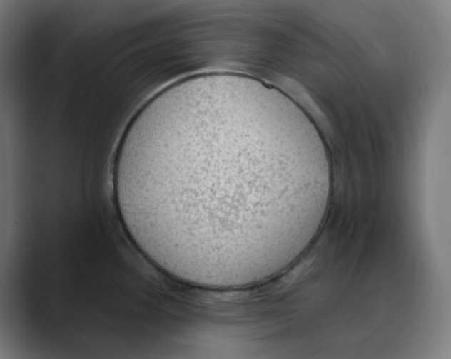 X0000088491292200706191418