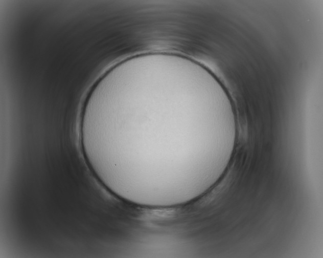X0000088491294200706191418