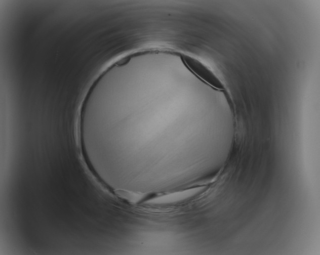 X0000088491295200706191418