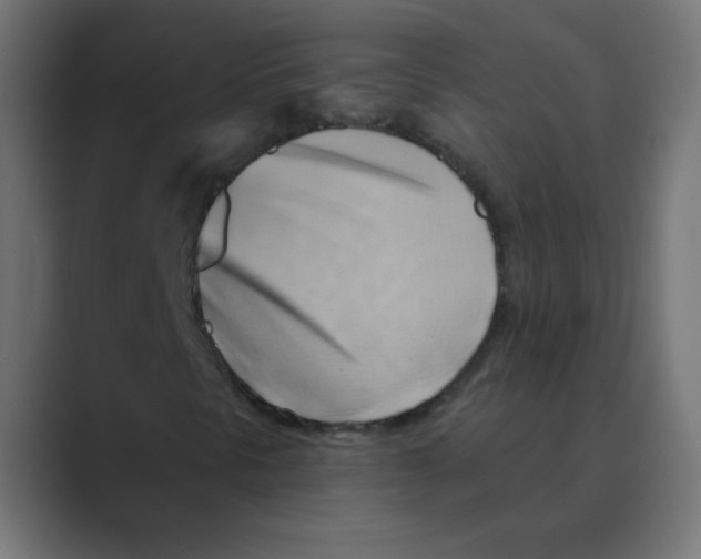 X0000088491297200706191417