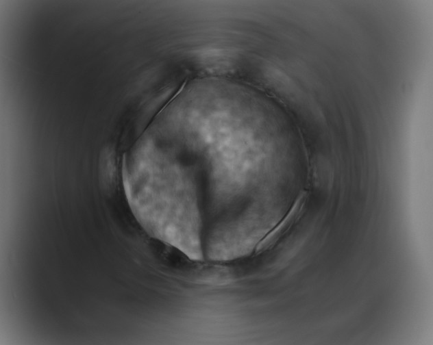 X0000088491298200706191417