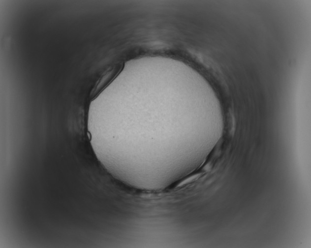 X0000088491301200706191417