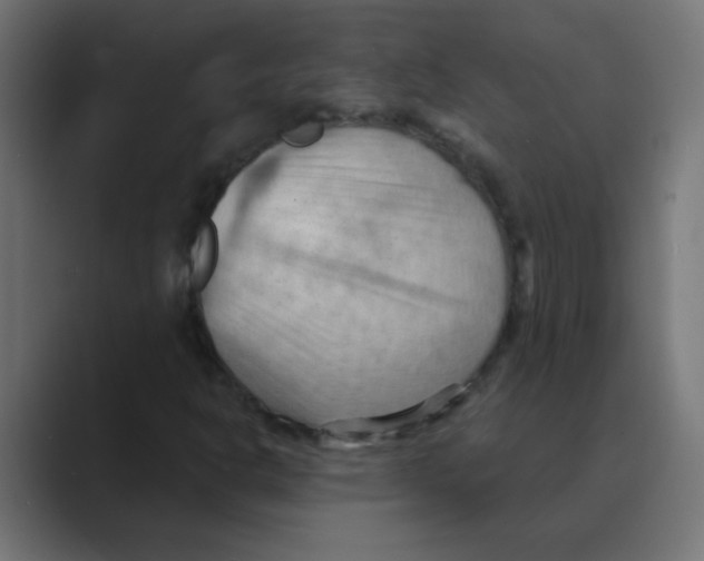 X0000088491302200706191417
