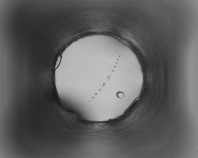 X0000088491304200706191417