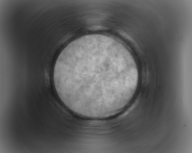 X0000088491305200706191417
