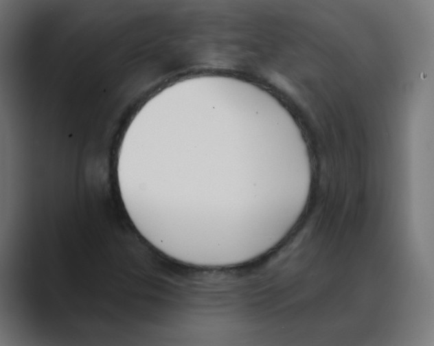 X0000088491307200706191417