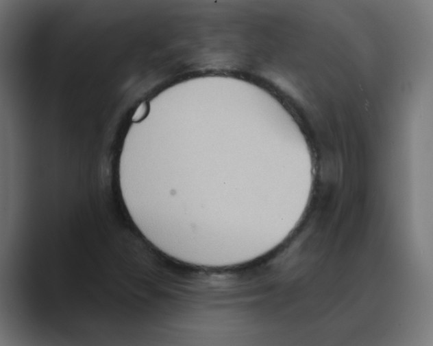 X0000088491309200706191417