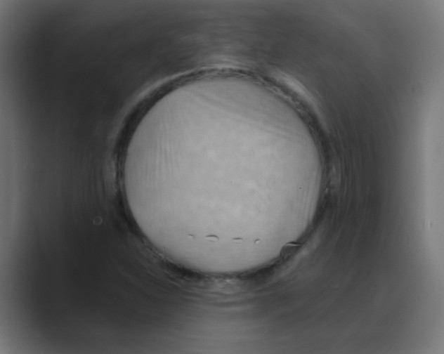 X0000088491310200706191417