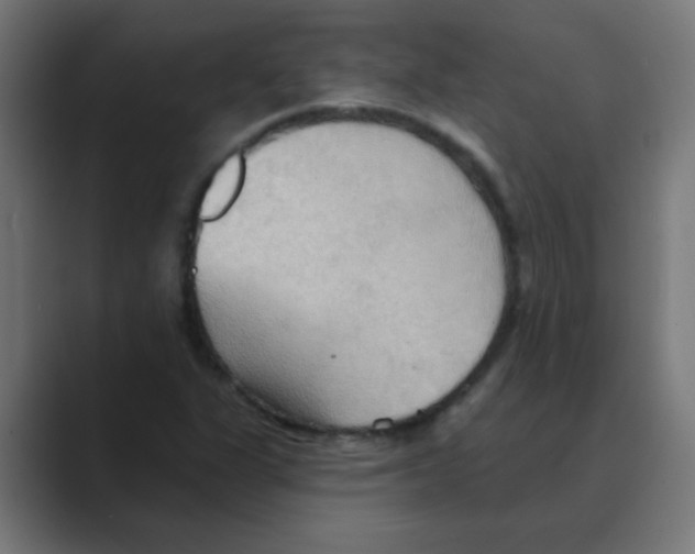 X0000088491311200706191417