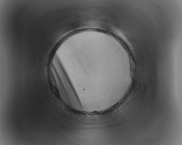 X0000088491312200706191417