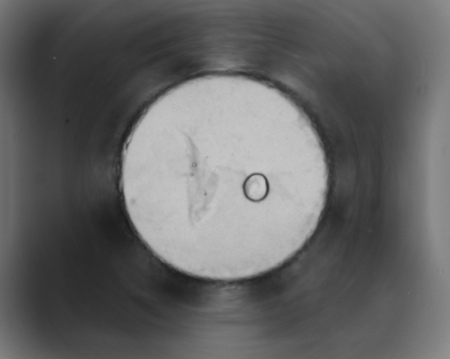 X0000088491314200706191417