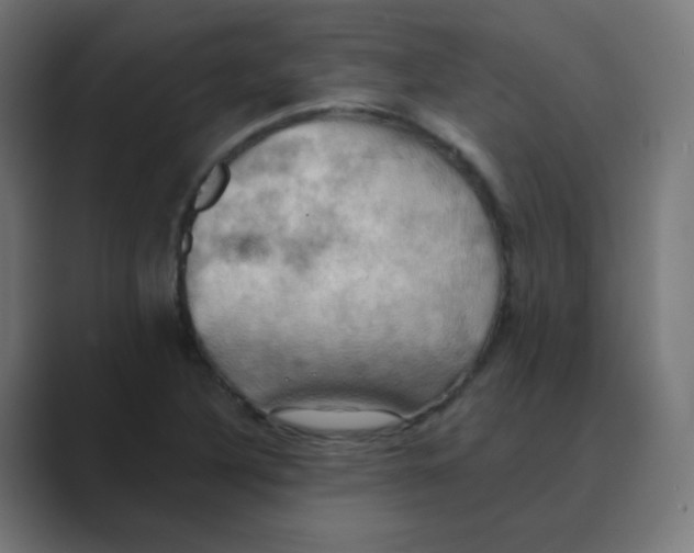 X0000088491316200706191417