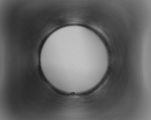 X0000088491317200706191417