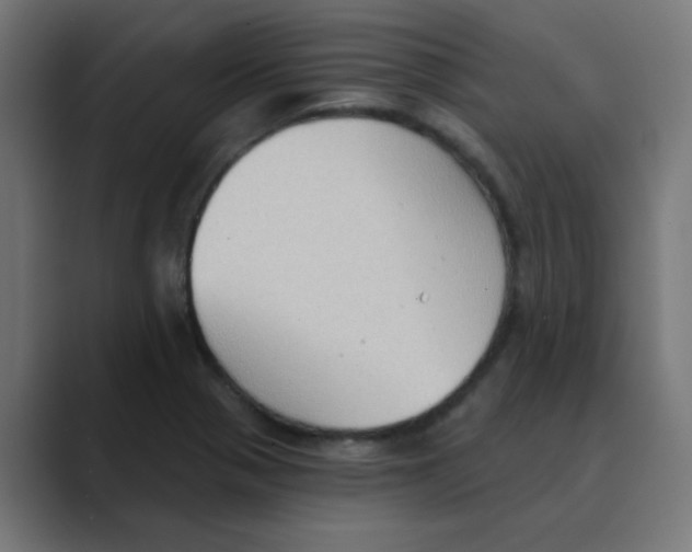 X0000088491321200706191417