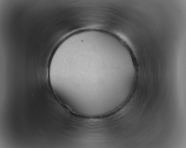 X0000088491324200706191417