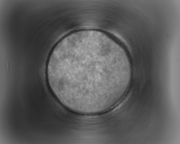 X0000088491325200706191417