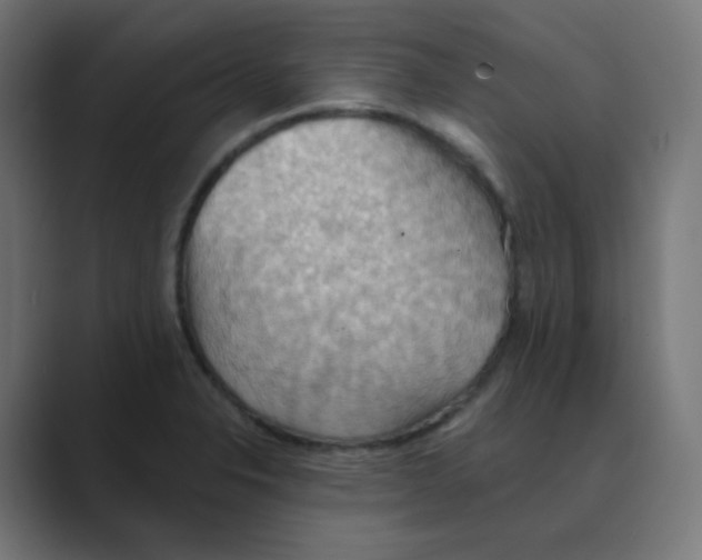 X0000088491326200706191417
