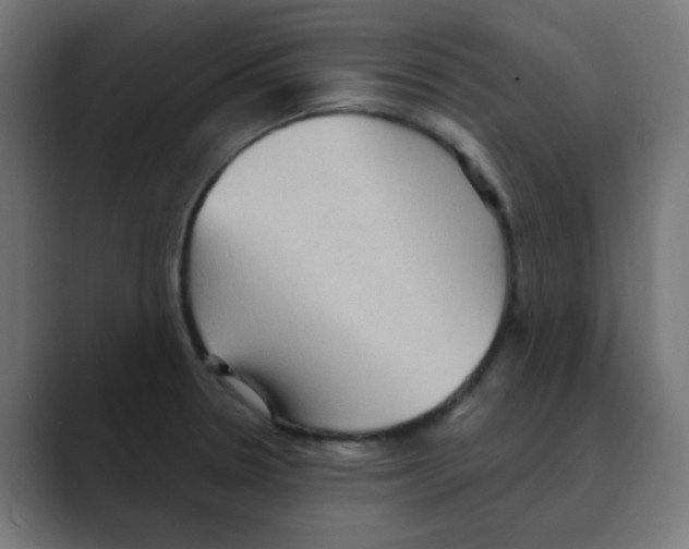 X0000088491330200706191417