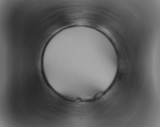 X0000088491331200706191417