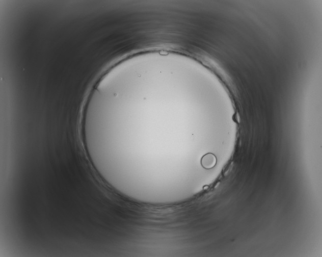 X0000088491332200706191417