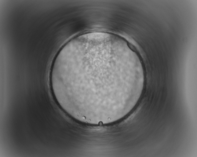 X0000088491333200706191417