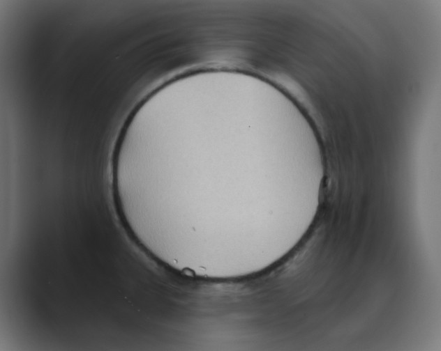 X0000088491335200706191417