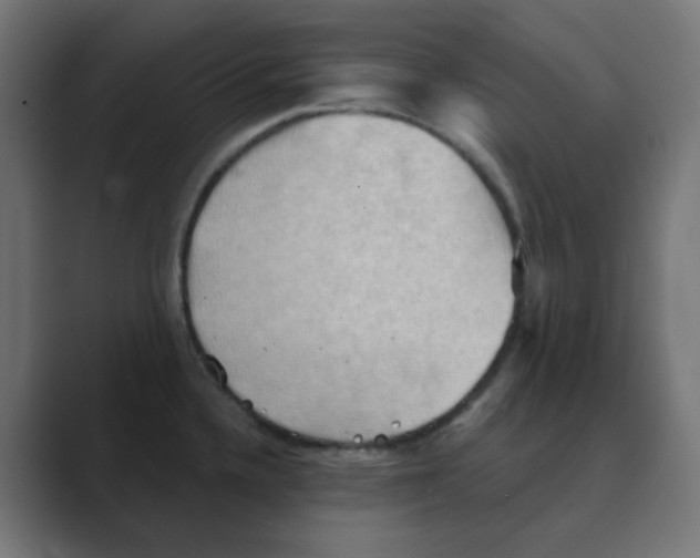 X0000088491336200706191417