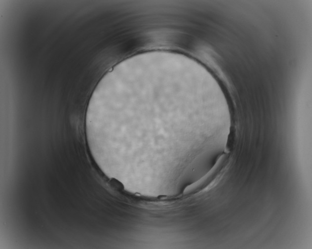 X0000088491337200706191417