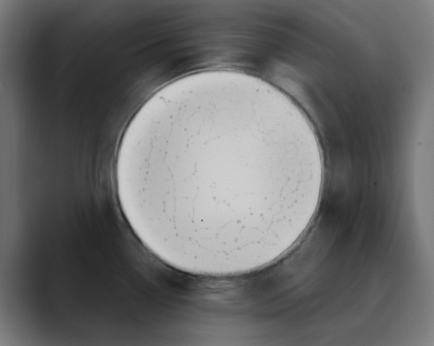 X0000088491338200706191417