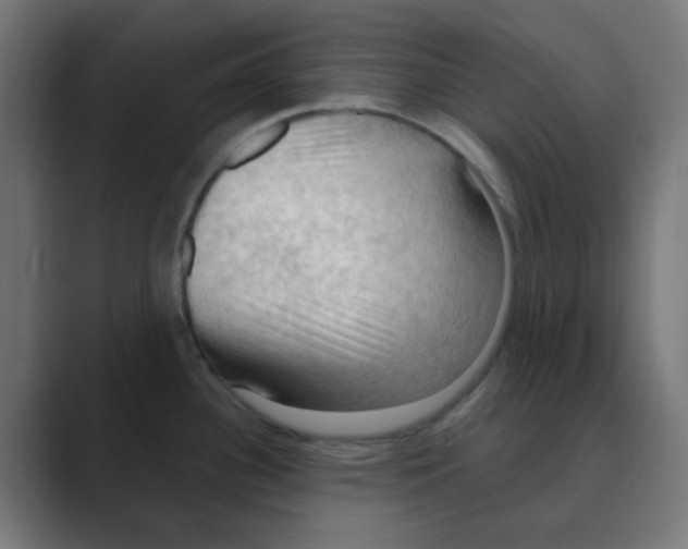 X0000088491340200706191418
