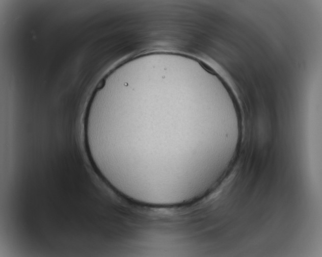 X0000088491341200706191418