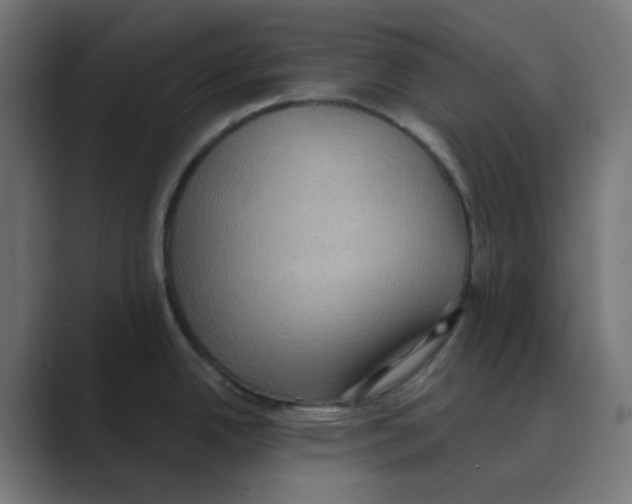 X0000088491342200706191418